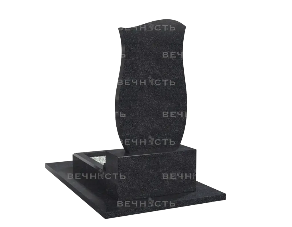 Памятник 1006 — ракурс 1